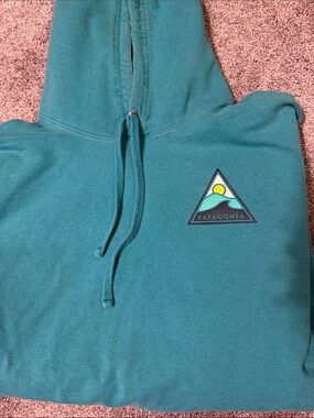 Patagonia Teal Men's Sweatshirt